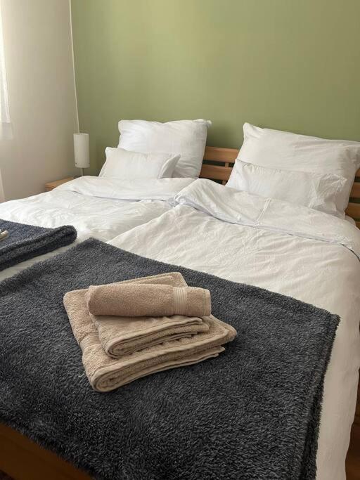 Priestranny 3 Izb. Apartman V Centre S Parkovanim. Banska Bystrica Luaran gambar